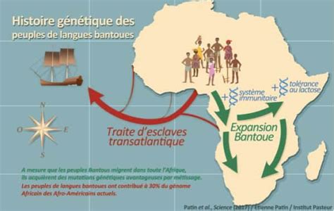 La Migration Xhosa vers le Nord: Expansion Bantu et Impacts Sociaux Profonds